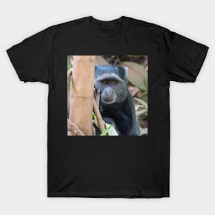 Blue Monkey T-Shirt